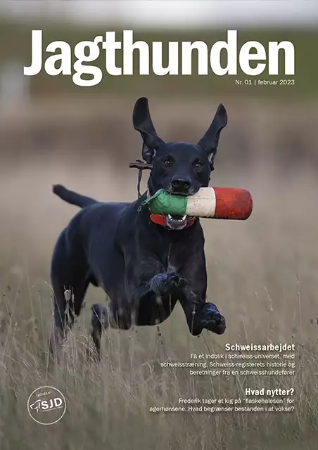 Jagthunden 01 februar 2023